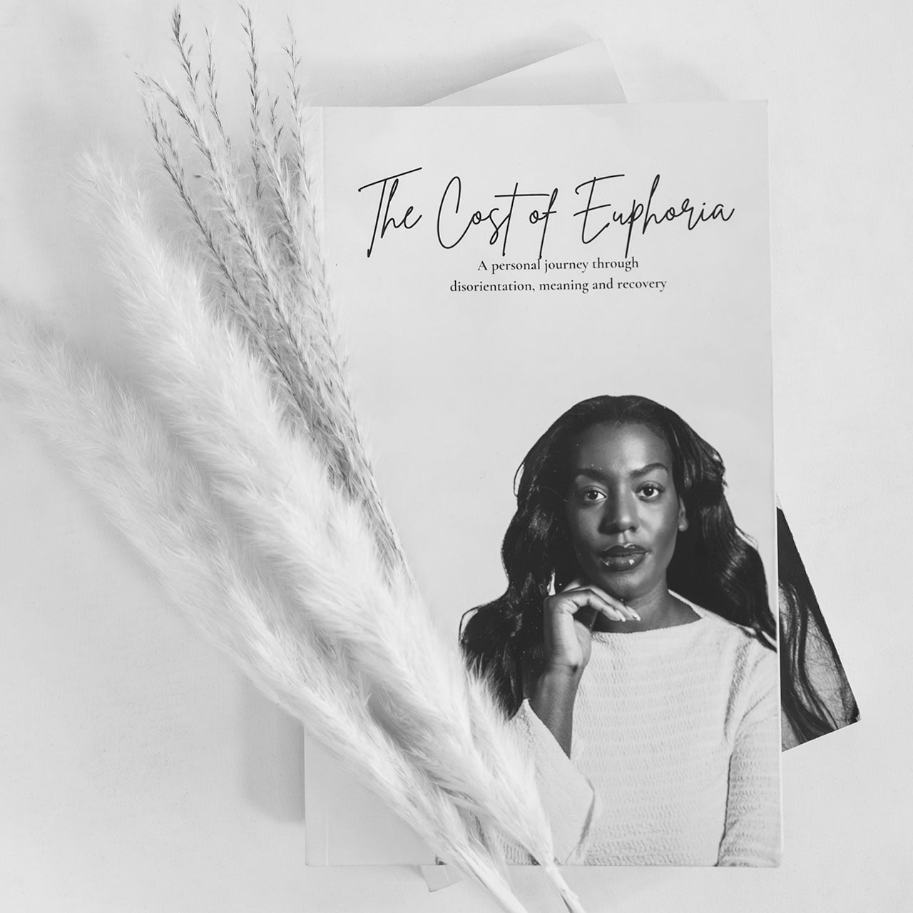 The Cost of Euphoria - A personal journey through disorientation, meaning and recovery (ENG)